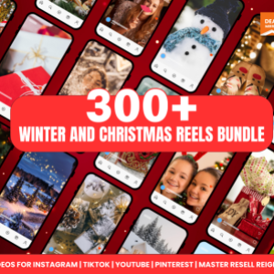Winter and Christmas Reels Bundle