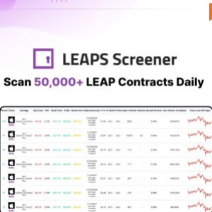 LEAPS Screener : A Customizable Tool to Screen Long-Term Stock Options
