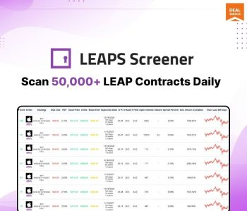 LEAPS Screener : A Customizable Tool to Screen Long-Term Stock Options