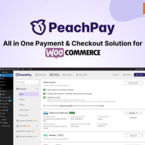 PeachPay : All-in-One Payments And Checkout Solution Lifetime Deal
