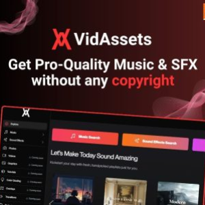 VidAssets: Royalty-Free Music & Sound Effects for Creators
