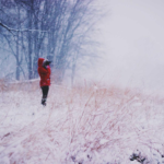 Ofertas AppSumo Imperdibles: Las Mejores Herramientas Disponibles Ahora