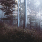 Ofertas AppSumo Imperdibles: Las Mejores Herramientas Disponibles Ahora