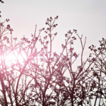 Herramientas de Analytics y Datos con Ofertas Lifetime: Guía 2026