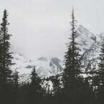 Mejores Ofertas Lifetime para Creadores de Contenido en 2026