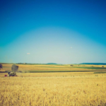 Cómo Construir un Stack Tecnológico Completo por $500 con Ofertas Lifetime