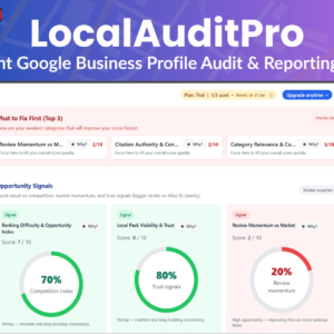 LocalAuditPro