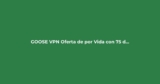 GOOSE VPN: Oferta de por Vida con 75% de Descuento