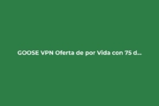 GOOSE VPN: Oferta de por Vida con 75% de Descuento