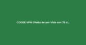 GOOSE VPN: Oferta de por Vida con 75% de Descuento